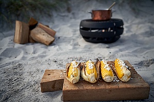 Preparation dinner sur l'Aduro Fire Ball